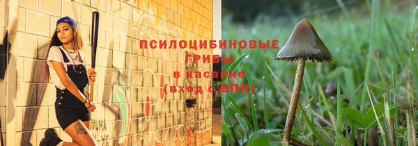 apvp Арсеньев