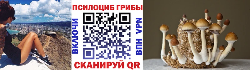 что такое наркотик  Малгобек  Псилоцибиновые грибы GOLDEN TEACHER 